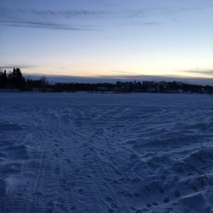 Meet your Posher, Laveena